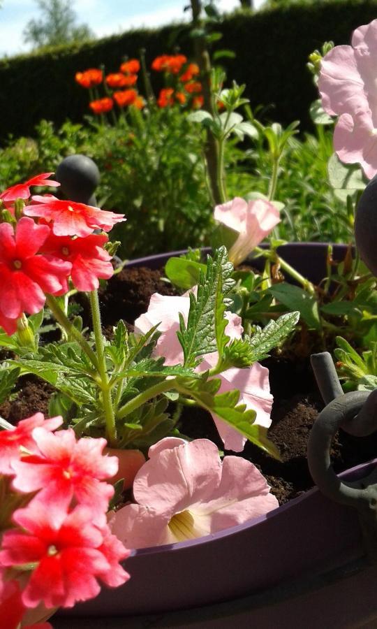 Alojamento de Acomodação e Pequeno-almoço La Fleur Et Le Soleil